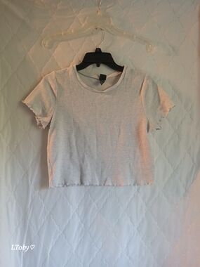 wild fable Grey Ribbed Short Sleeve Crop Top